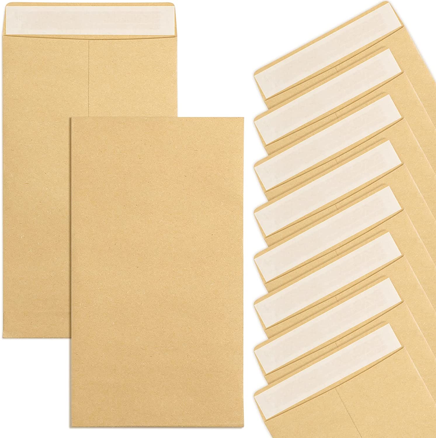 Seed Kraft Coin Envelopes
