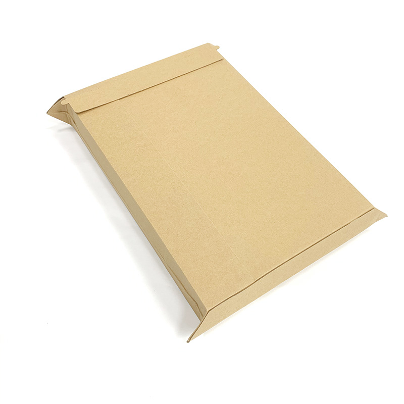 Custom Courier Delivery Envelope