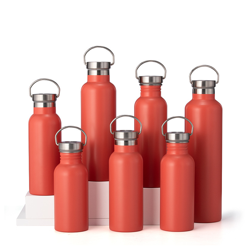 Stainless Steel Vacuum Water Bottle