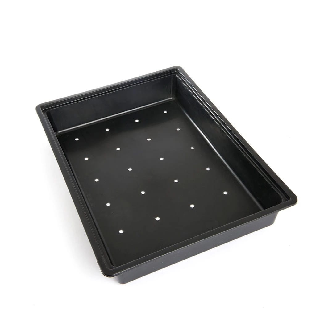 Custom Plastic tray Plastic Containers
